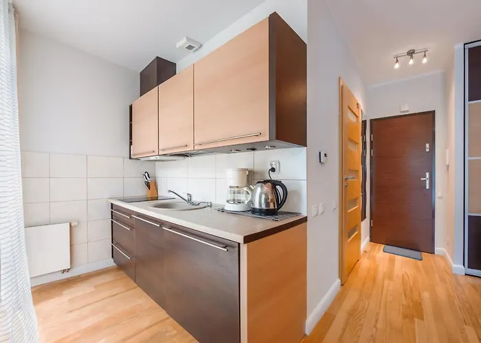 Lesne Zacisze, Sun & Snow *